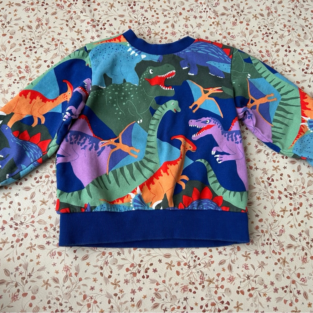 Mini Boden Dinosaur sweatshirt